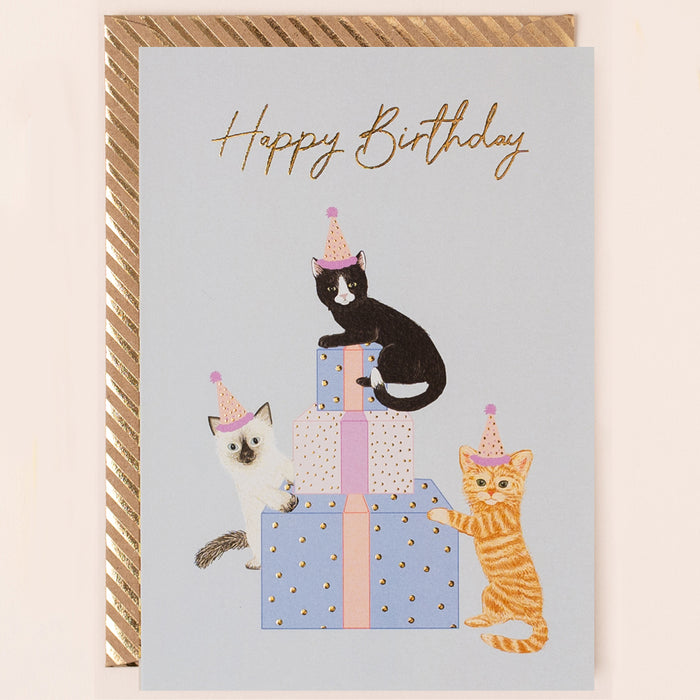 Greeting Card - Reflections Birthday Cats Presents