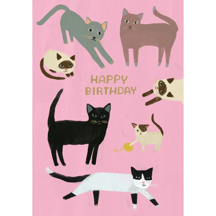Greeting Card - Cats on Pink