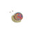 Snail Ikat Brooch